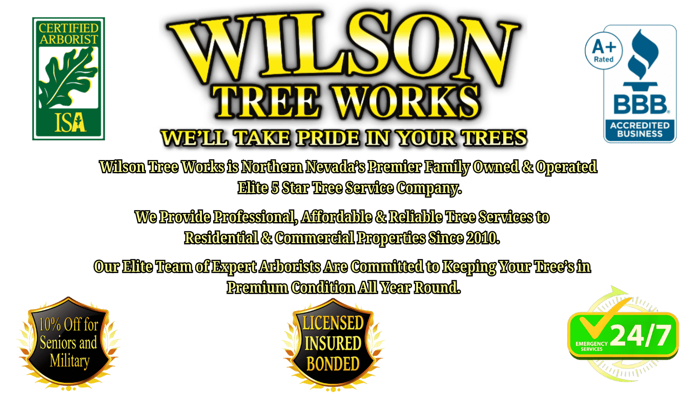 Your paragraph text (1)